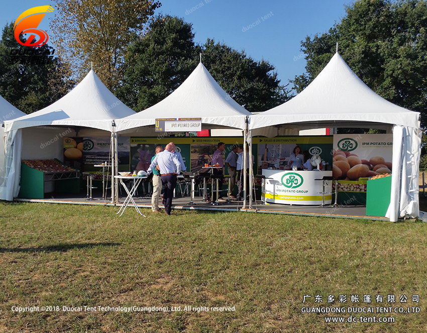 Promotion pagoda tent with sidewalls made in China