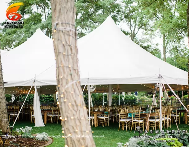 100 people mixed party tent wholesale
