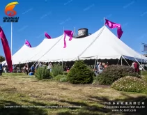500 people mixed wedding tent for sale