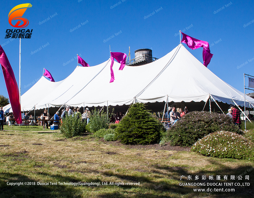 500 people mixed wedding tent for sale