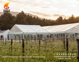 Unique transparent tent for dinner