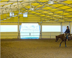 Racing court sport tent with yellow PVC fabric