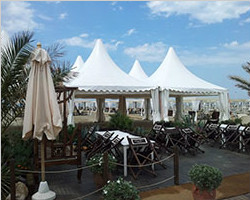Pagoda tent with high peak and Gazebo tent for sale