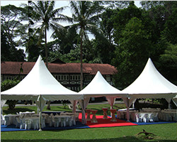 Multi side reception tent for party and ceremony